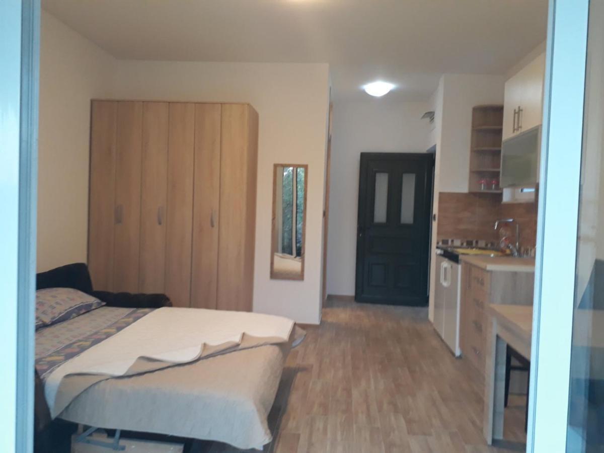 Apartmani Andrea Studio Χέρτσεγκ Νόβι Εξωτερικό φωτογραφία